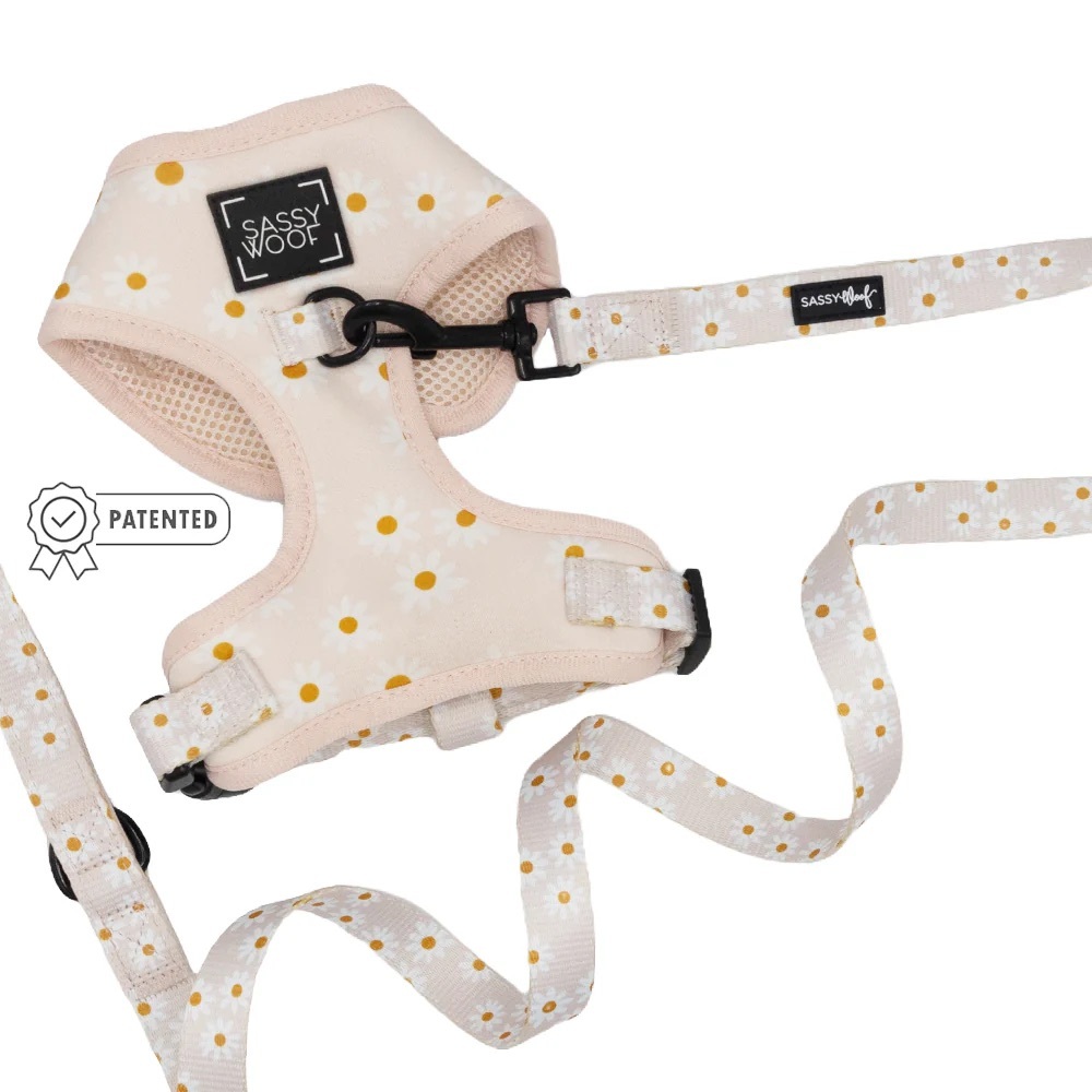 sassy woof  Harness and Leash Set